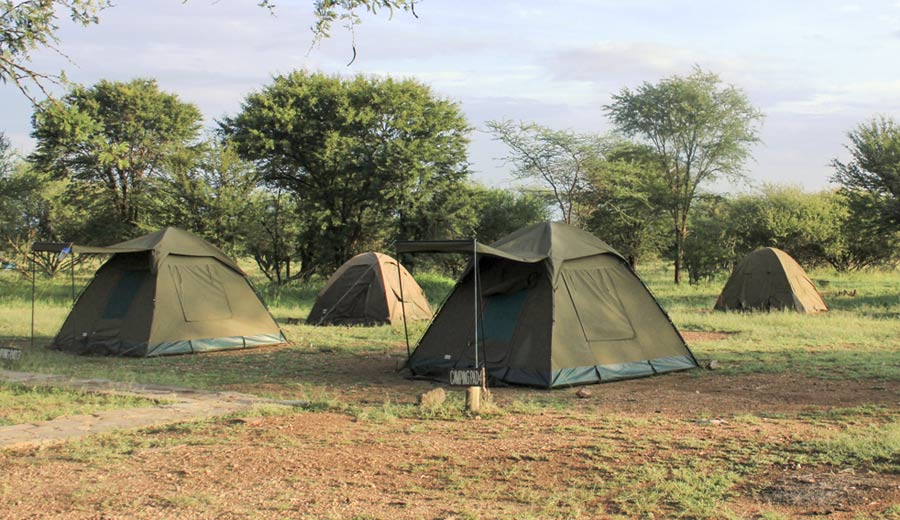 Tanzania Adventure Camping Safari in Serengeti