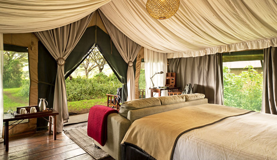 Safari in Tanzania at Lemala Ngorongoro Luxury Camp