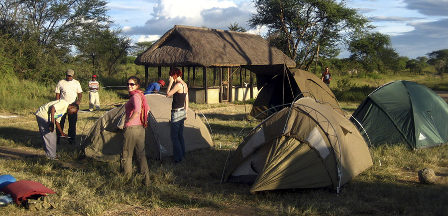 Setting up tents on a campsite in Serengeti national park