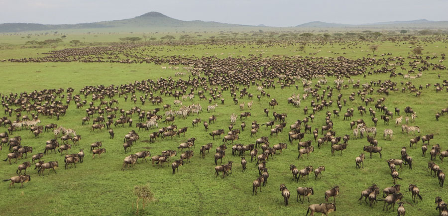 When to go to Serengeti National Park