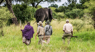 Ngorongoro Walking Tours